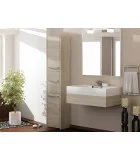 Bathroom cabinet FRANIA S43 three-door, sonoma oak order